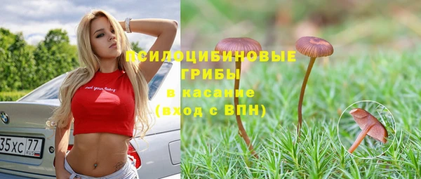 трава Новозыбков