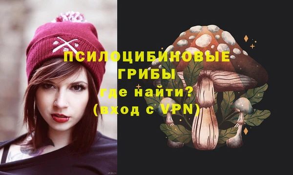 трава Новозыбков