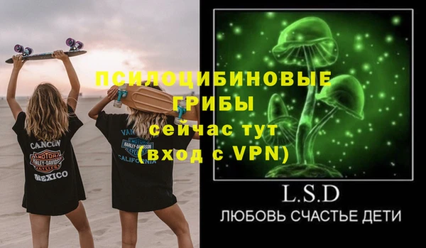 a pvp Няндома