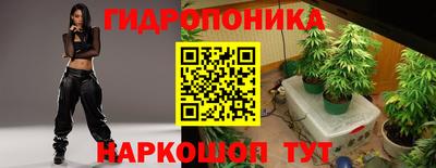 дурь Кандалакша