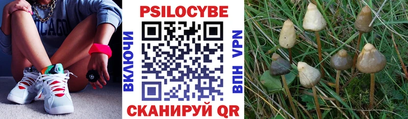 Галлюциногенные грибы Cubensis  дарнет шоп  Кисловодск 