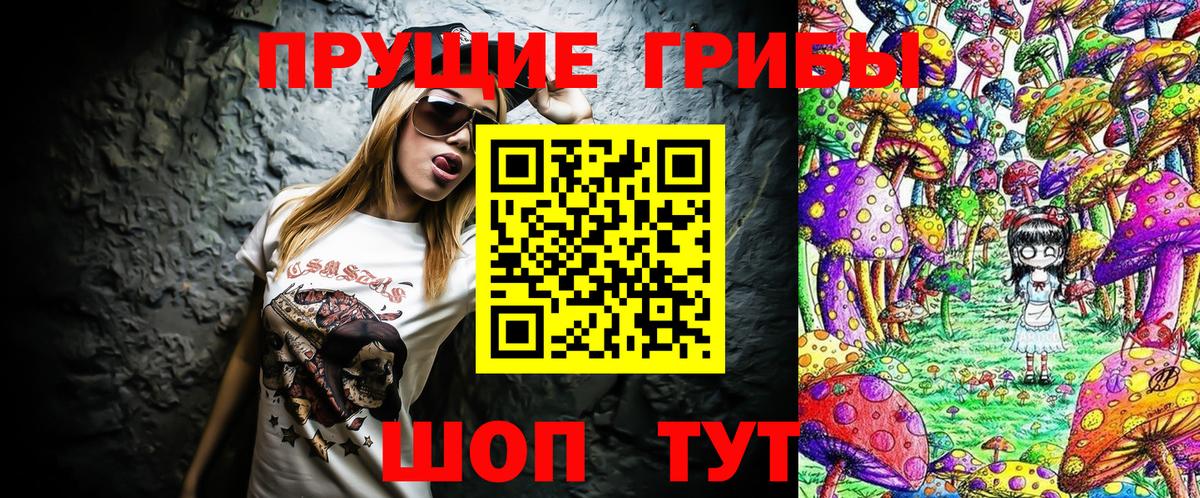 Галлюциногенные грибы Psilocybine cubensis Кисловодск